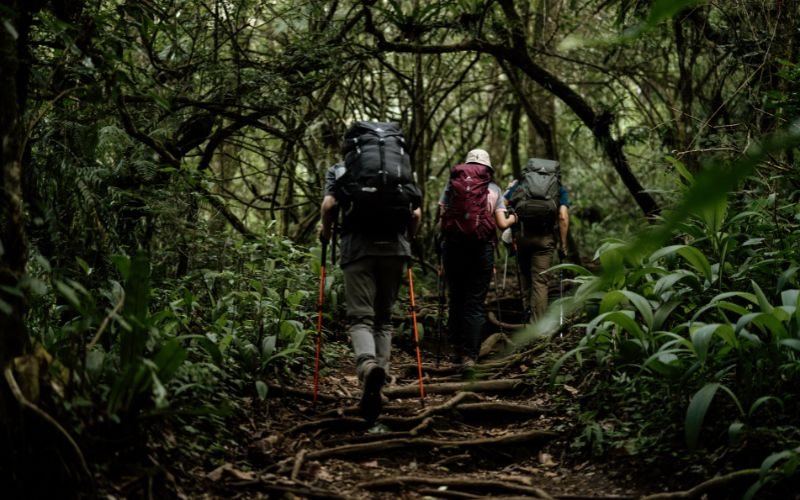 Outdoor Gagal? Hindari 5 Kesalahan Memalukan Ini! (Update 2025)