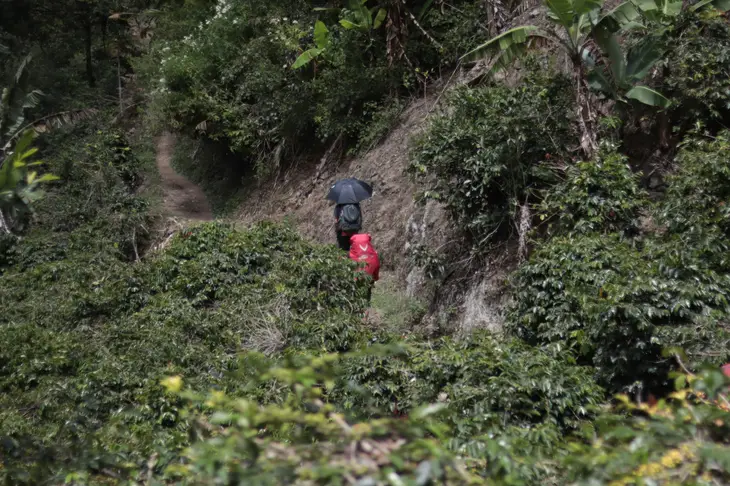 petualangan ekstream gunung latimojong