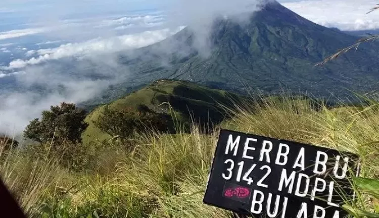 Petualangan Mendaki Gunung Merbabu