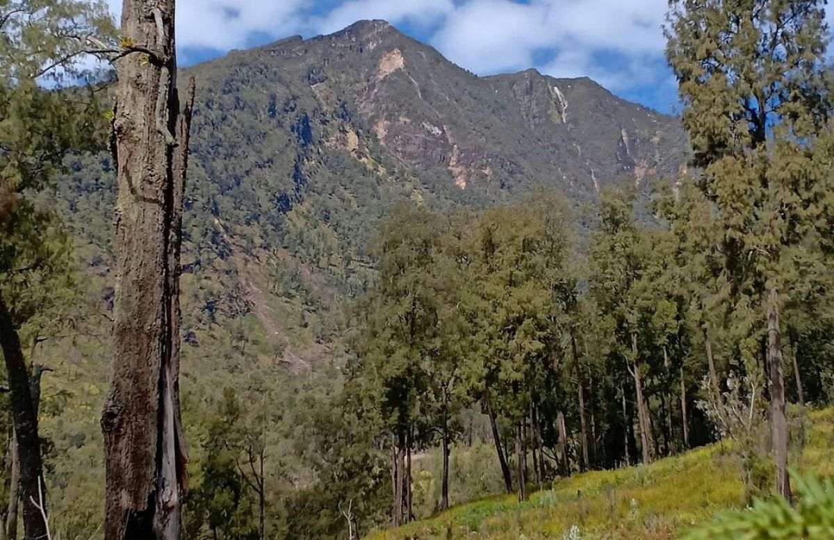 titik trek pendakian Gunung Welirang