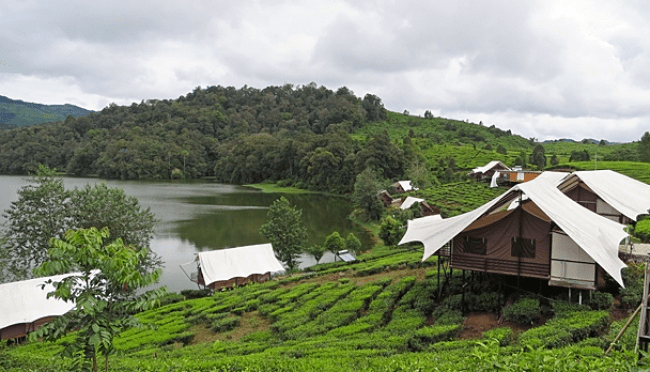 Glamping Ciwidey dan Bromo, Mana yang Lebih Epic di 2026