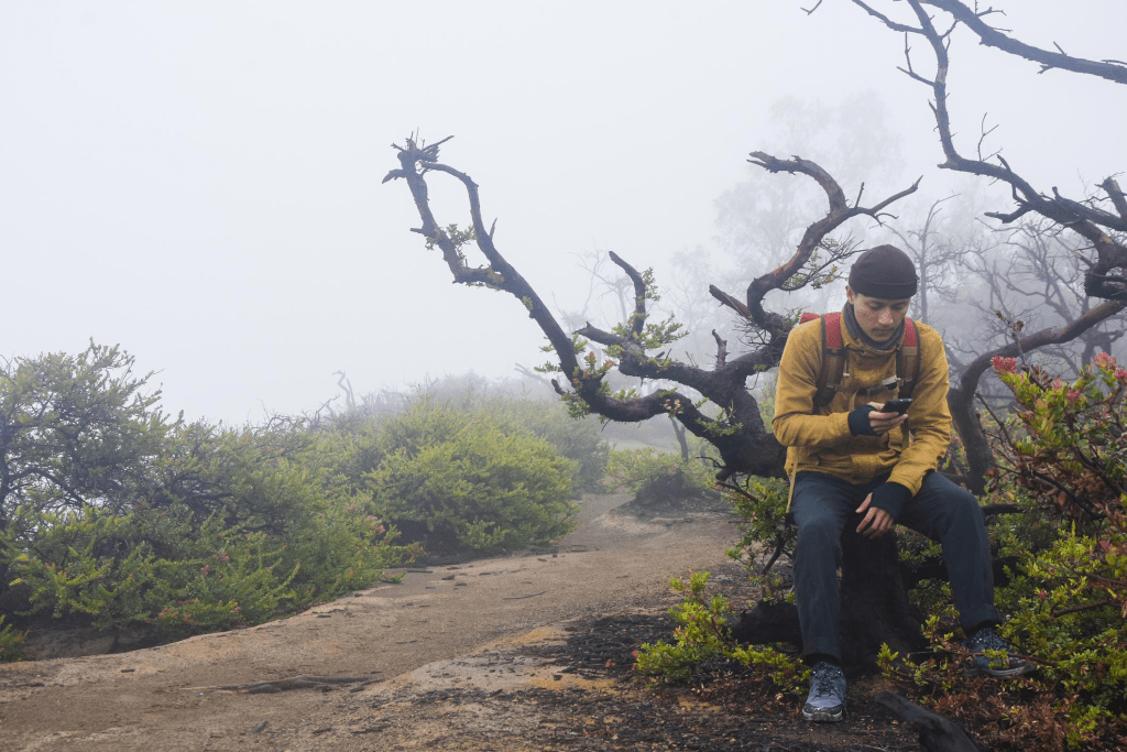 5 Tips Hiking Gunung untuk Pemula yang Sering Diabaikan tapi Bisa Selamatkan Nyawa